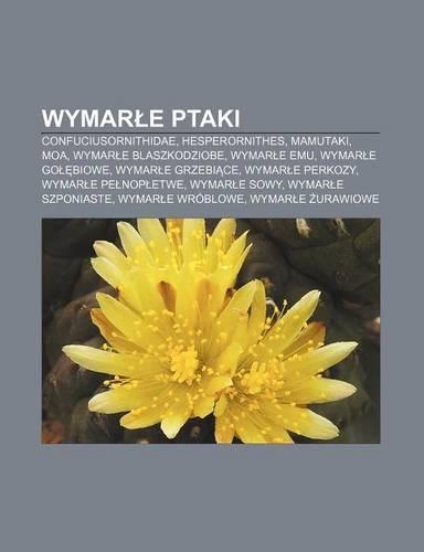 Wymar E Ptaki