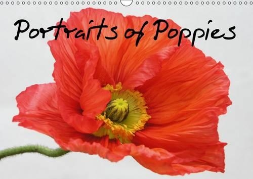 Portraits of Poppies 2016