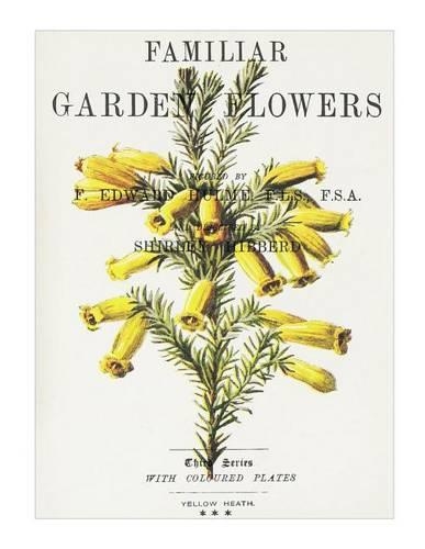 Familiar Garden Flowers