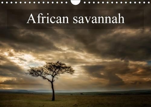 African Savannah 2017