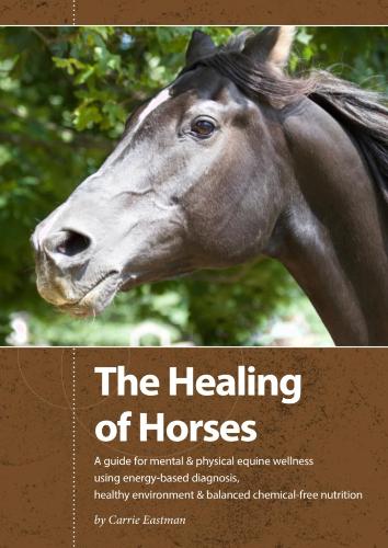 Healing Horse