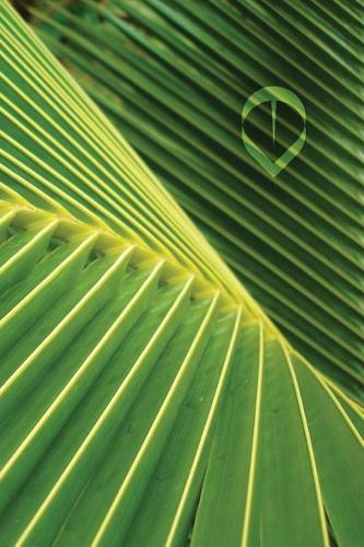 Palm Leaf Notebook