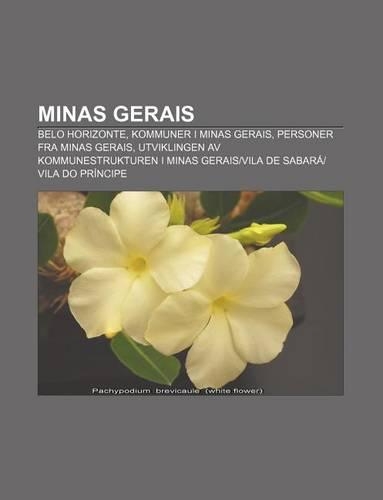 Minas Gerais