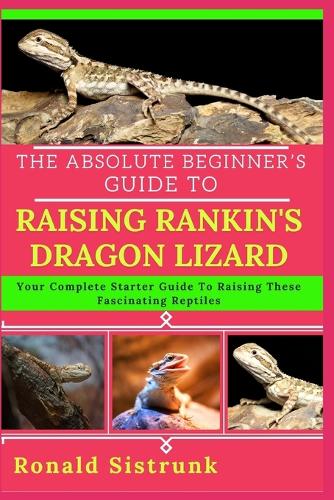 The Absolute Beginner's Guide to Raising Rankin's Dragon Lizard