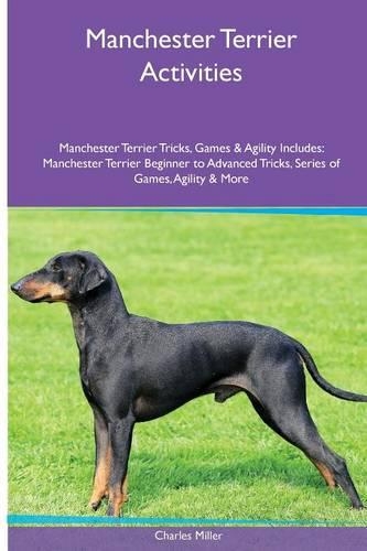 Manchester Terrier Activities Manchester Terrier Tricks, Games & Agility. Includes
