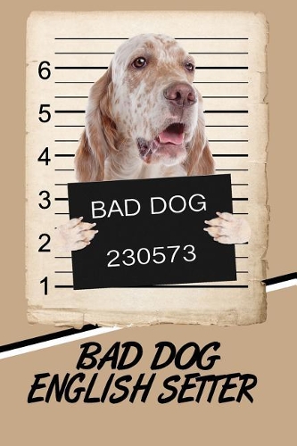 Bad Dog English Setter
