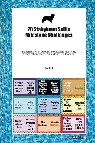 20 Stabyhoun Selfie Milestone Challenges