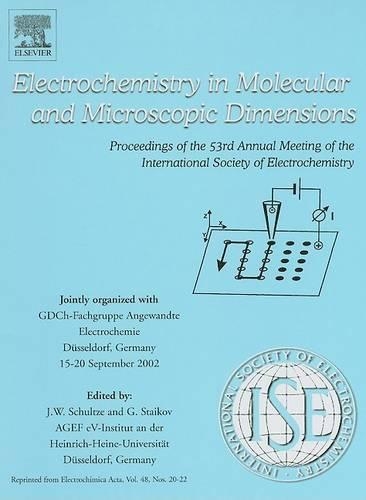Electrochemistry in Molecular and Microscopic Dimensions