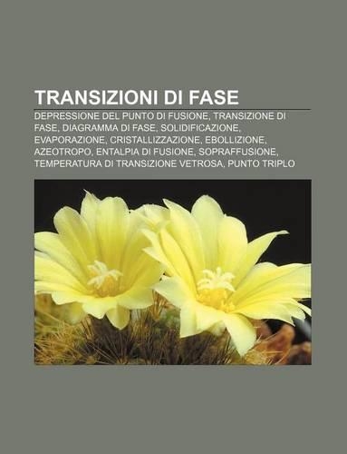 Transizioni Di Fase