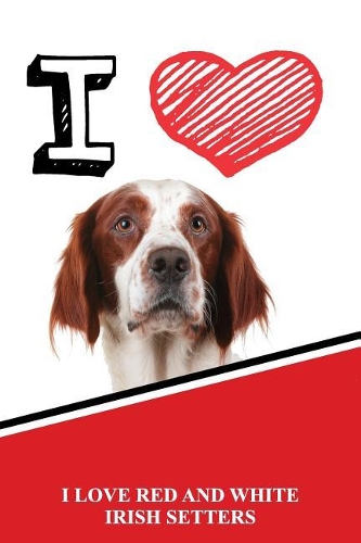 I Love Red and White Irish Setters