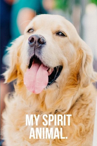 My Spirit Animal