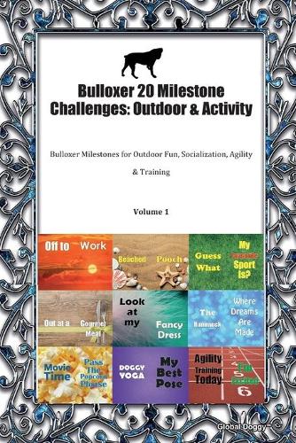 Bulloxer 20 Milestone Challenges