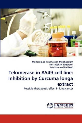 Telomerase in A549 Cell Line