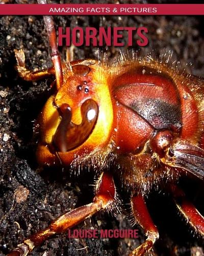 Hornets