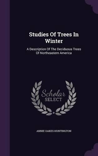 Studies Of Trees In Winter