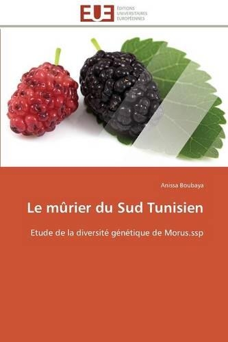 Le Mûrier Du Sud Tunisien