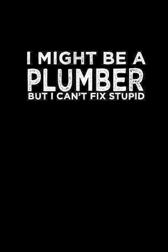 I might be a plumber but I can't fix stupid