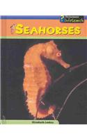 Seahorses