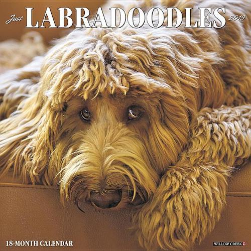 Just Labradoodles 2019 Wall Calendar (Dog Breed Calendar)
