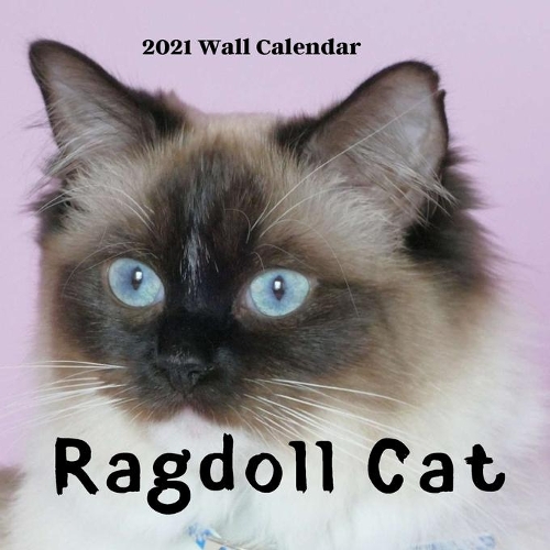 Ragdoll Cat Wall Calendar 2021