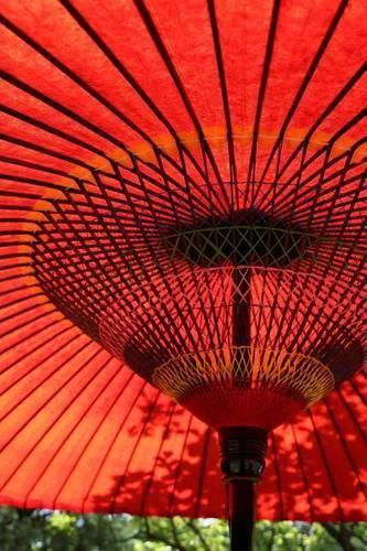 A Pretty Red Parasol Umbrella