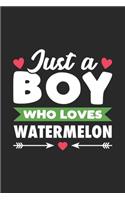 Just A Boy Who Loves Watermelon