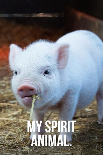 My Spirit Animal
