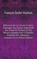 Reflexions Sur La Colonie De Saint-Domingue, Ou, Examen Approfondi Des Causes De Sa Ruine, Et Des Mesures Adoptees Pour La Retablir: Terminees Par . Splendeur : Adressees Au Co (French Edition)