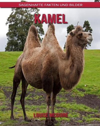 Kamel