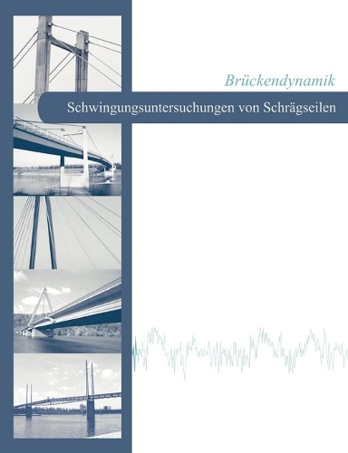 Brückendynamik - Schwingungsuntersuchungen von Schrägseilen