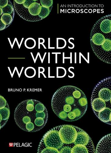 Worlds Within Worlds