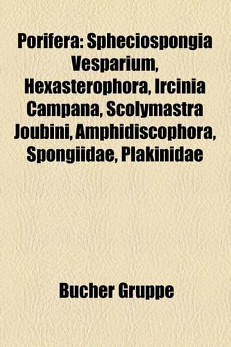 Porifera