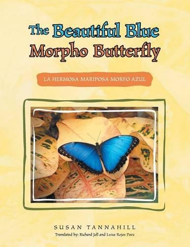 The Beautiful Blue Morpho Butterfly: La Hermosa Mariposa Morfo Azul