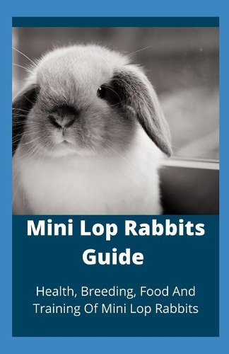 Mini Lop Rabbits Guide