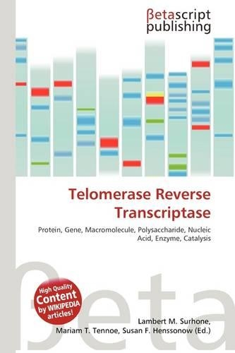 Telomerase Reverse Transcriptase