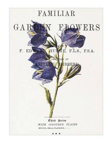 Familiar Garden Flowers