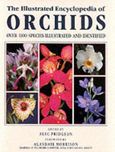 Illustrated Encyclopedia of Orchids