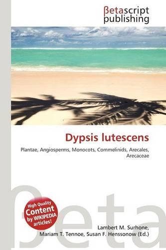 Dypsis Lutescens