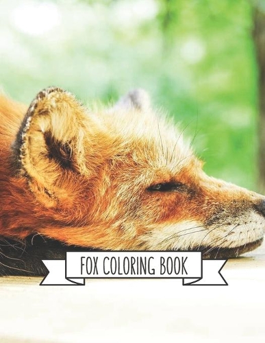 Fox Coloring Book