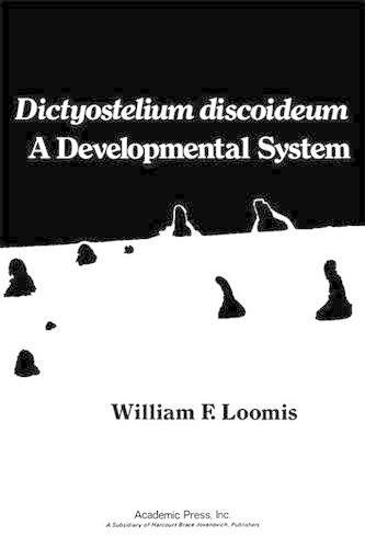 Dictyostelium Discoideum