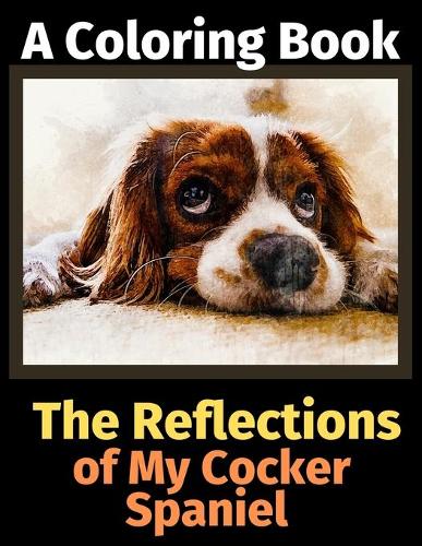 The Reflections of My Cocker Spaniel