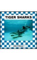Tiger Sharks