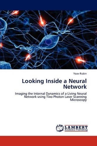 Looking Inside a Neural Network