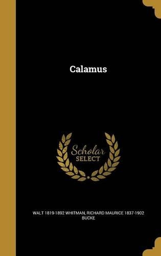 Calamus