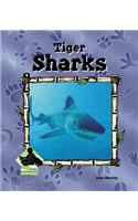 Tiger Sharks