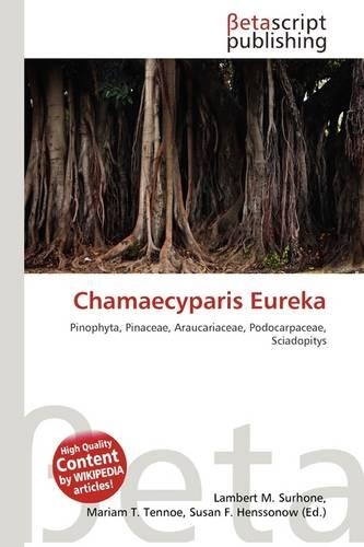 Chamaecyparis Eureka