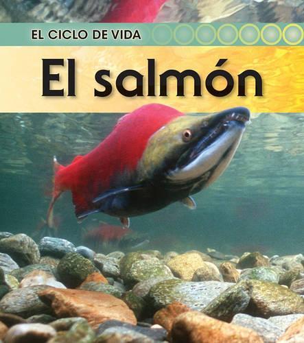 El Salmón