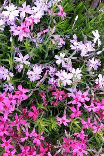 So Many BEAUTIFUL Reasons To Be HAPPY