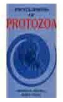 Encyclopaedia Of Protozoa