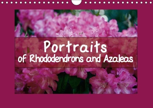 Portraits of Rhododendrons and Azaleas 2018